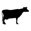 store-cattle-img