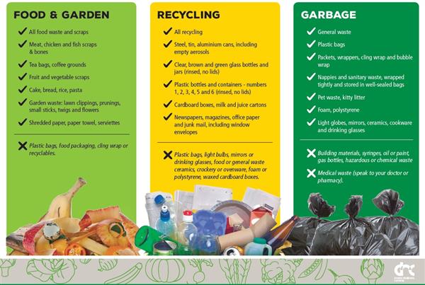 What goes in which bin
