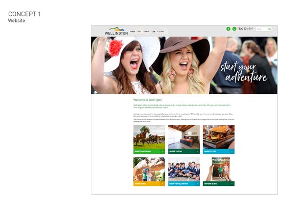 Wellington brand website example