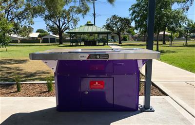 Purple BBQ in park