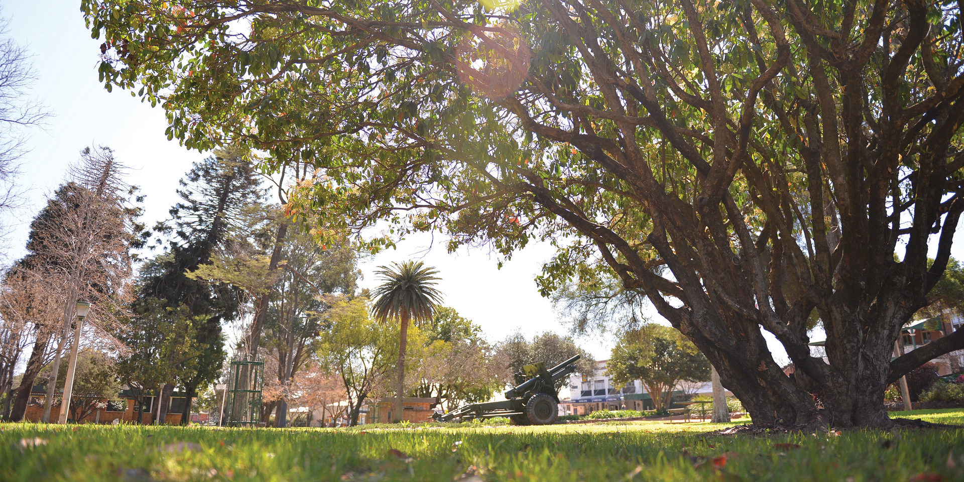 Wellington_Cameron_Park