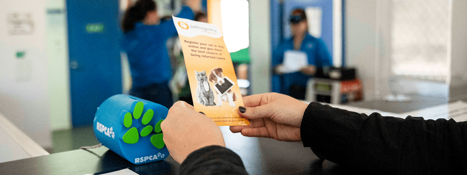 Microchipping and Registration Dubbo Regional Council