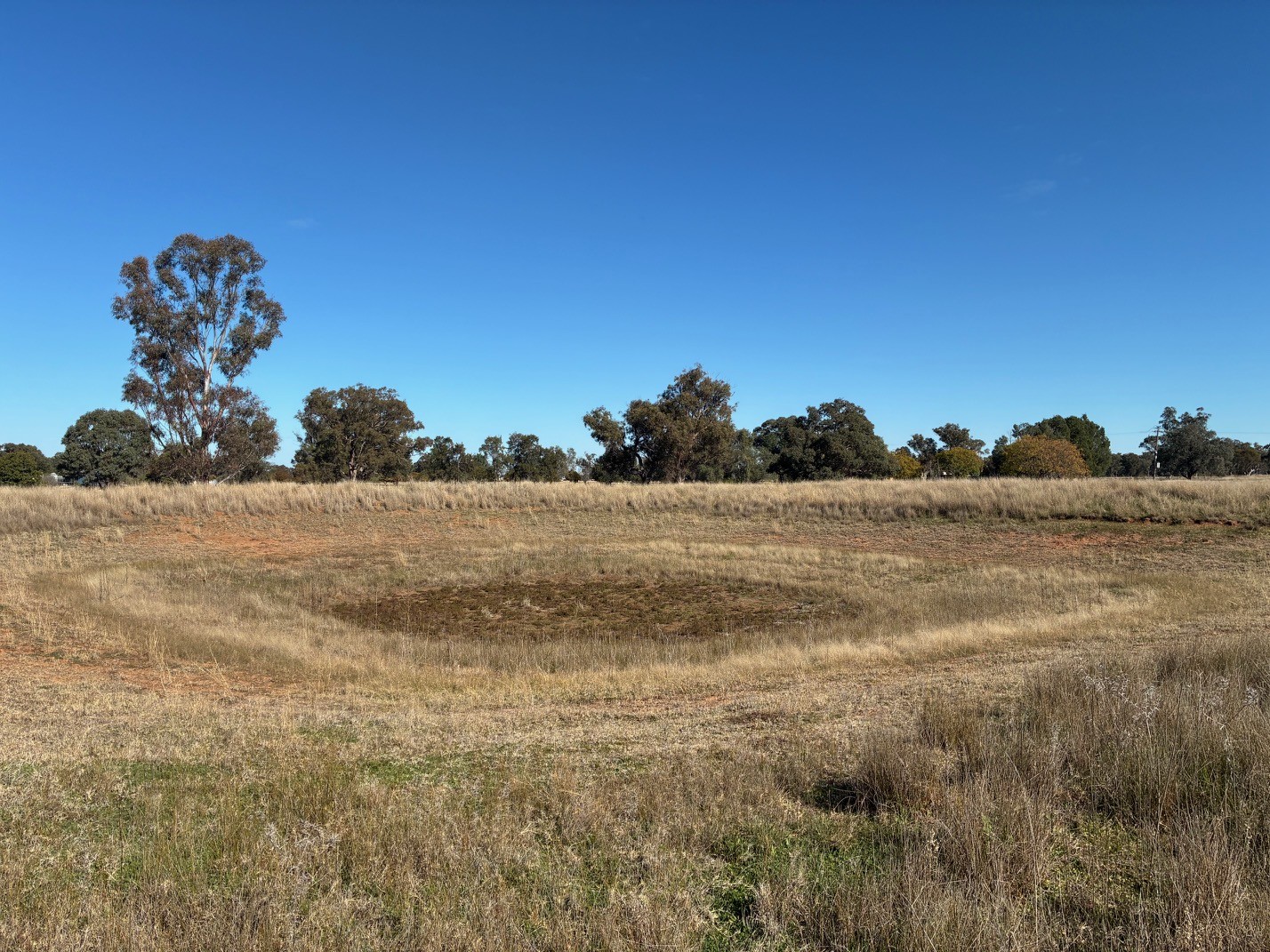 10L Mogriguy Road - Land